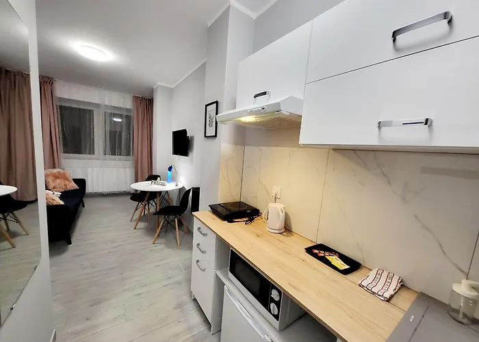 Mini Apartment Poznan